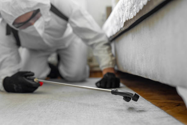 Professional Bed Bug Control technician working in North Caldwell, NJ