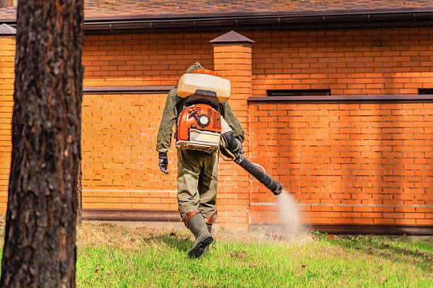 Trusted Rodent Control service in North Caldwell, NJ - Nex Pest Control